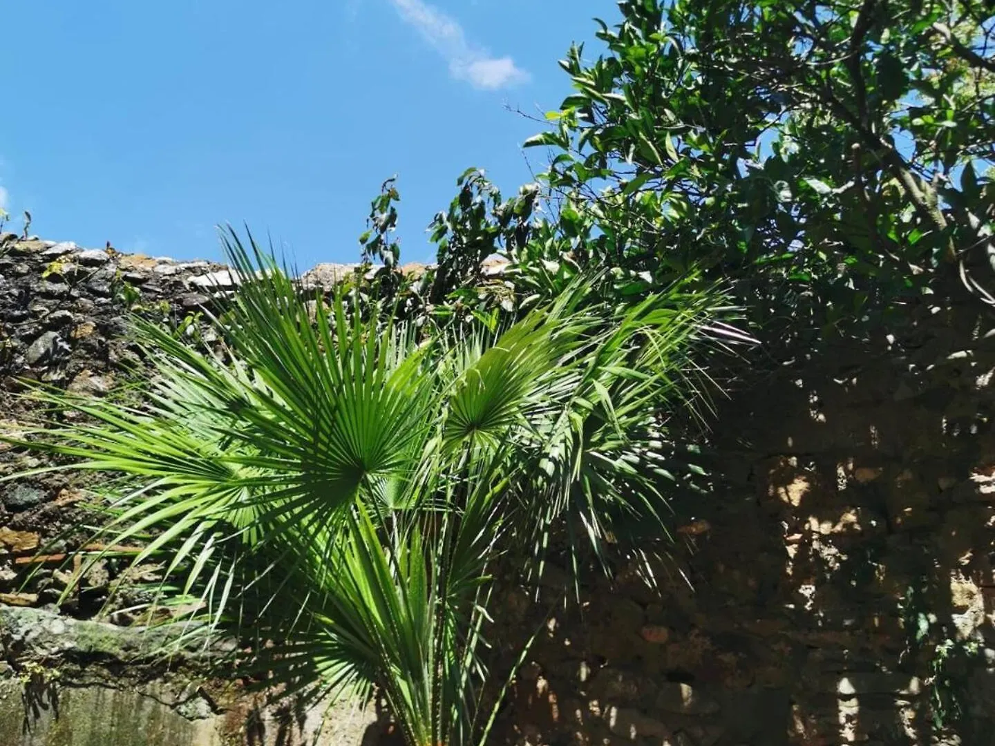 Monolocale Con Veranda E Giardino A Rio Marina 0*,