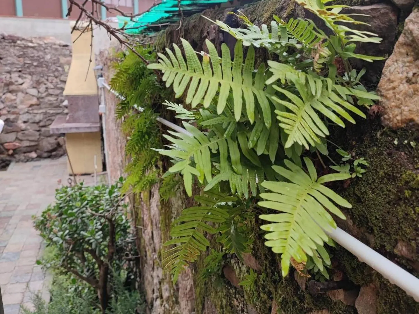 Monolocale Con Veranda E Giardino A Rio Marina Apartment