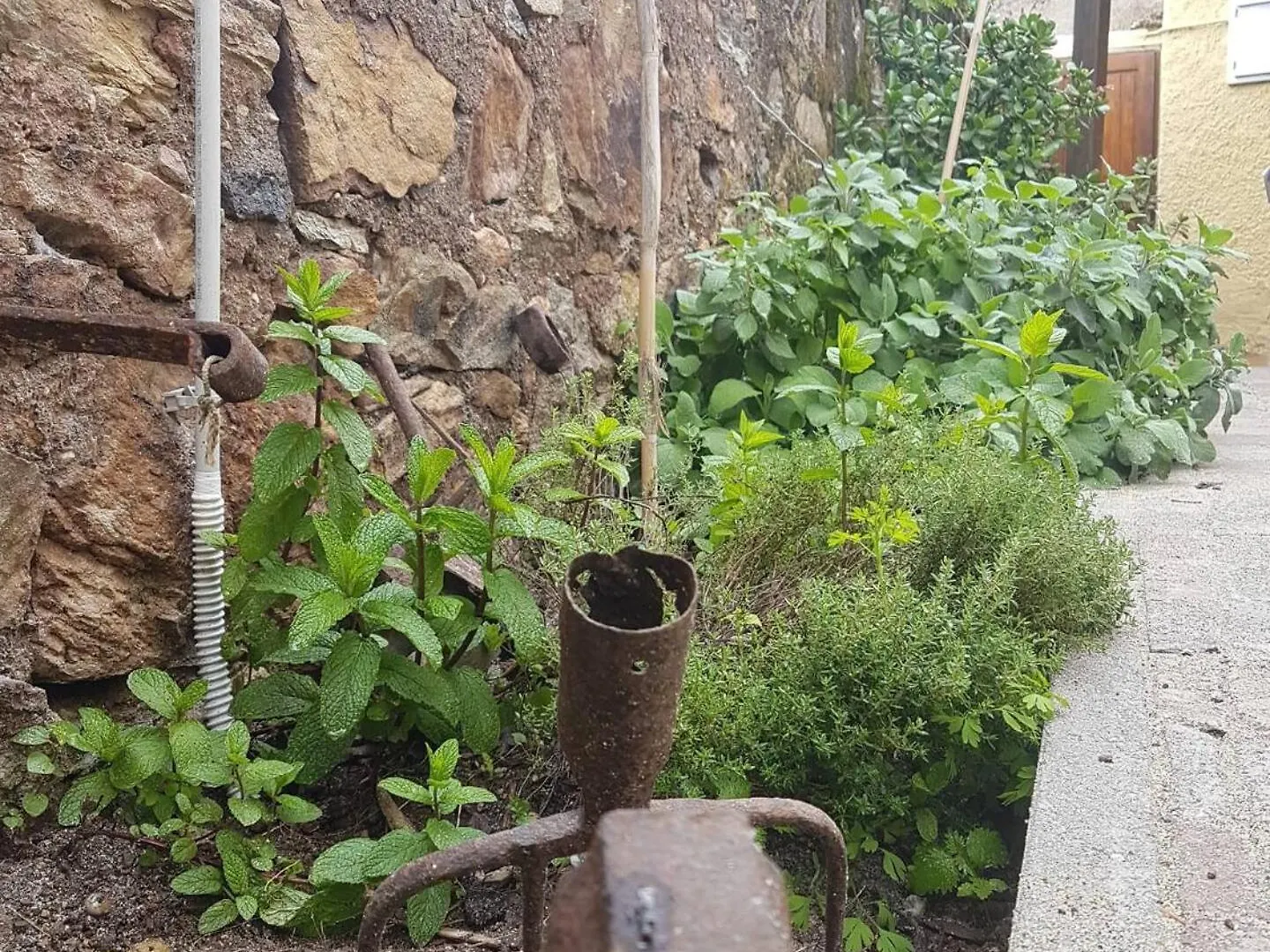 Monolocale Con Veranda E Giardino A Rio Marina Italy